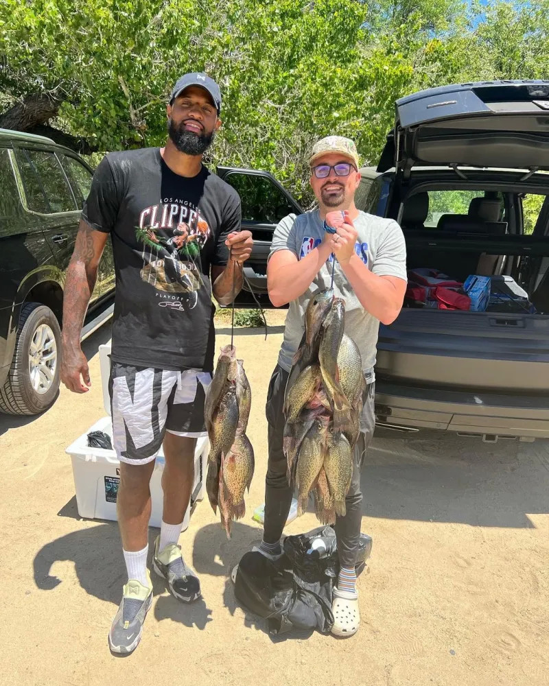 术层面表现 术层面表现