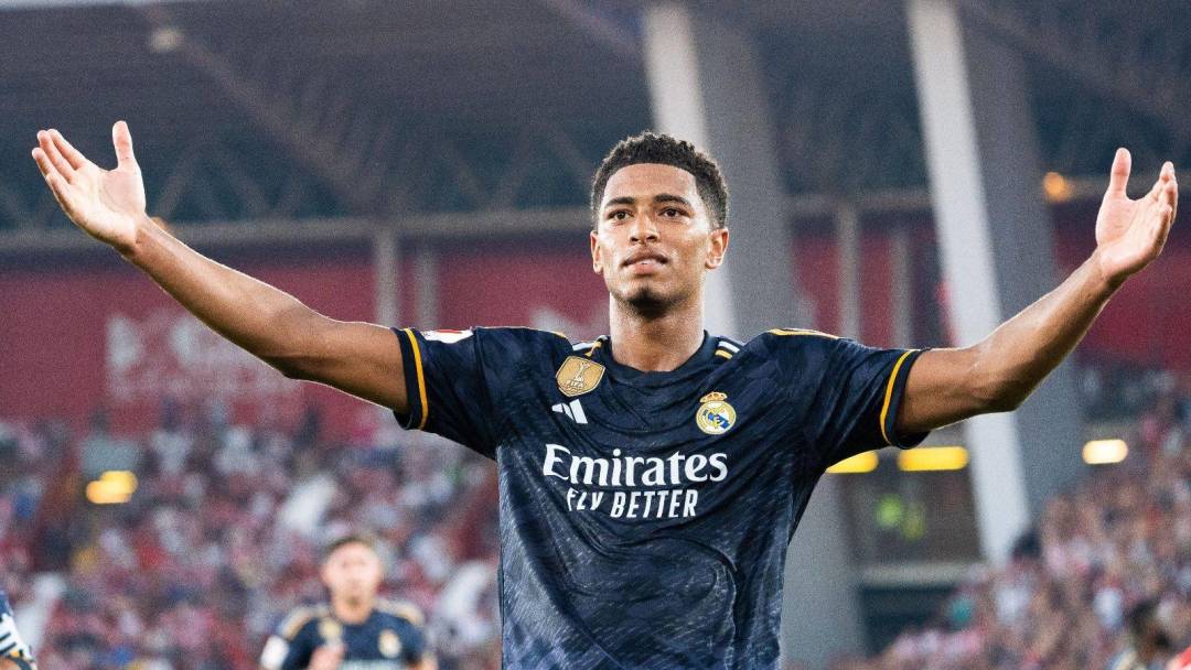 浓眉的存在 浓眉的存在