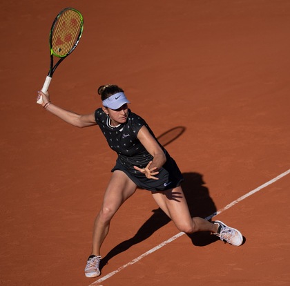 收入囊中 收入囊中